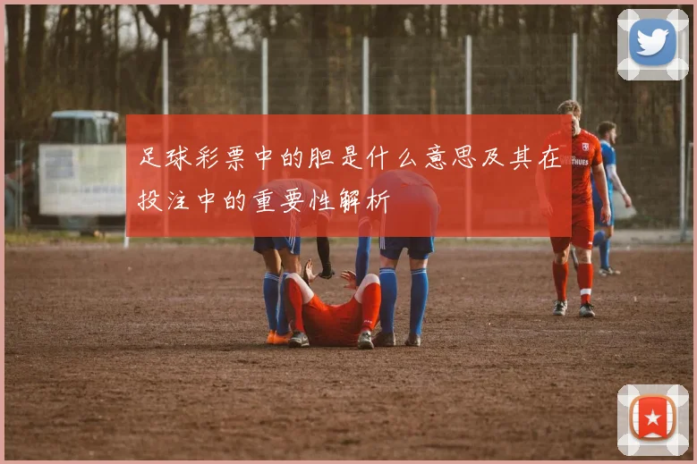 足球彩票中的胆是什么意思及其在投注中的重要性解析
